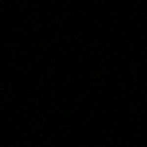 Meet your Posher, Jordon